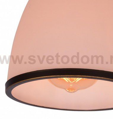Светильник потолочный Arte lamp A9518PL-1BA Bonito