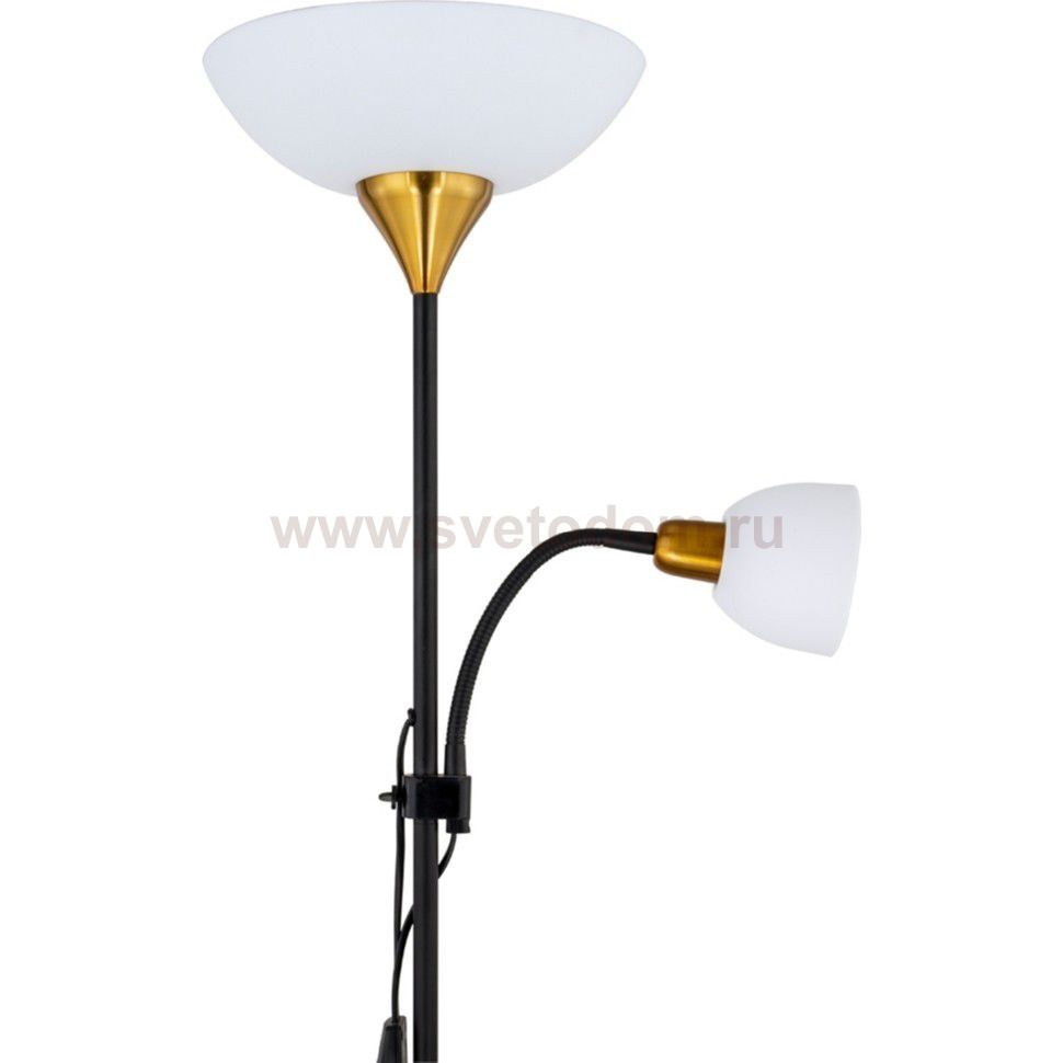 Торшер с подсветкой для чтения Arte lamp A9569PN-2BK