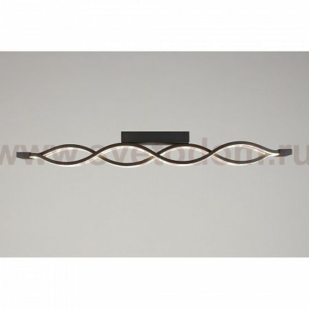 Светильник настенно-потолочный Aployt APL.002.17.72 Nadayn