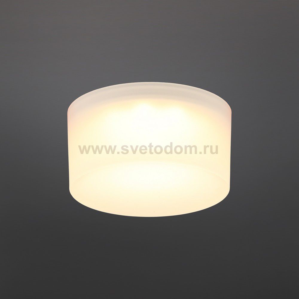 Светильник встраиваемый-накладной Aployt APL.0033.09.05 Lea