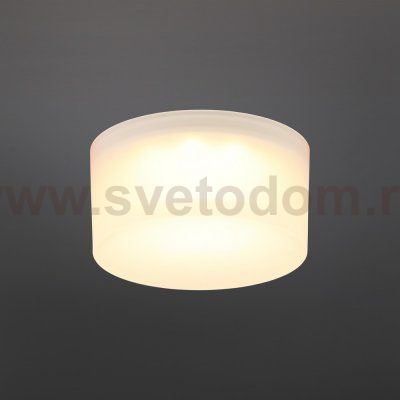 Светильник встраиваемый-накладной Aployt APL.0033.09.05 Lea