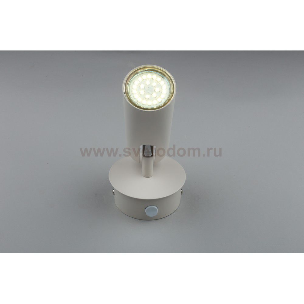 Светильник настенный бра Aployt APL.004.01.01 Rein