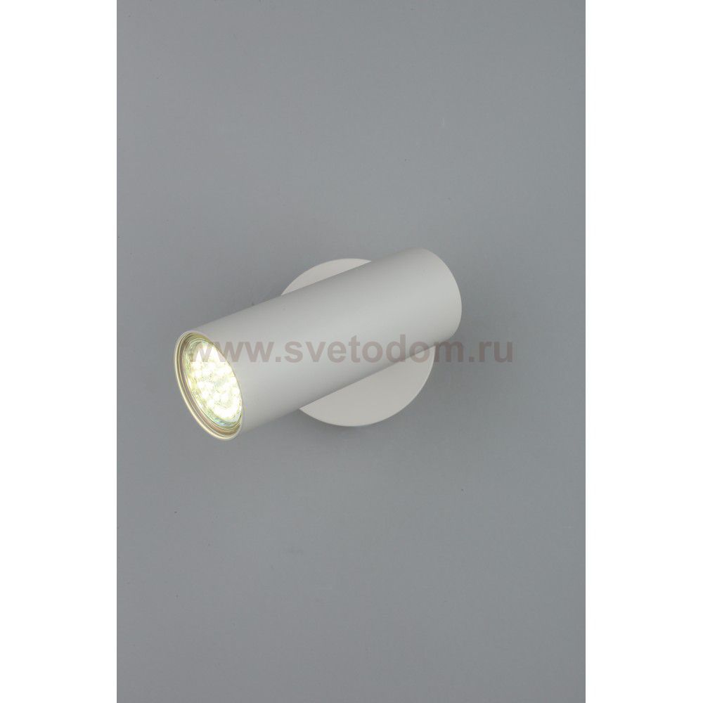 Светильник настенный бра Aployt APL.004.01.01 Rein