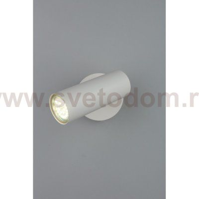 Светильник настенный бра Aployt APL.004.01.01 Rein