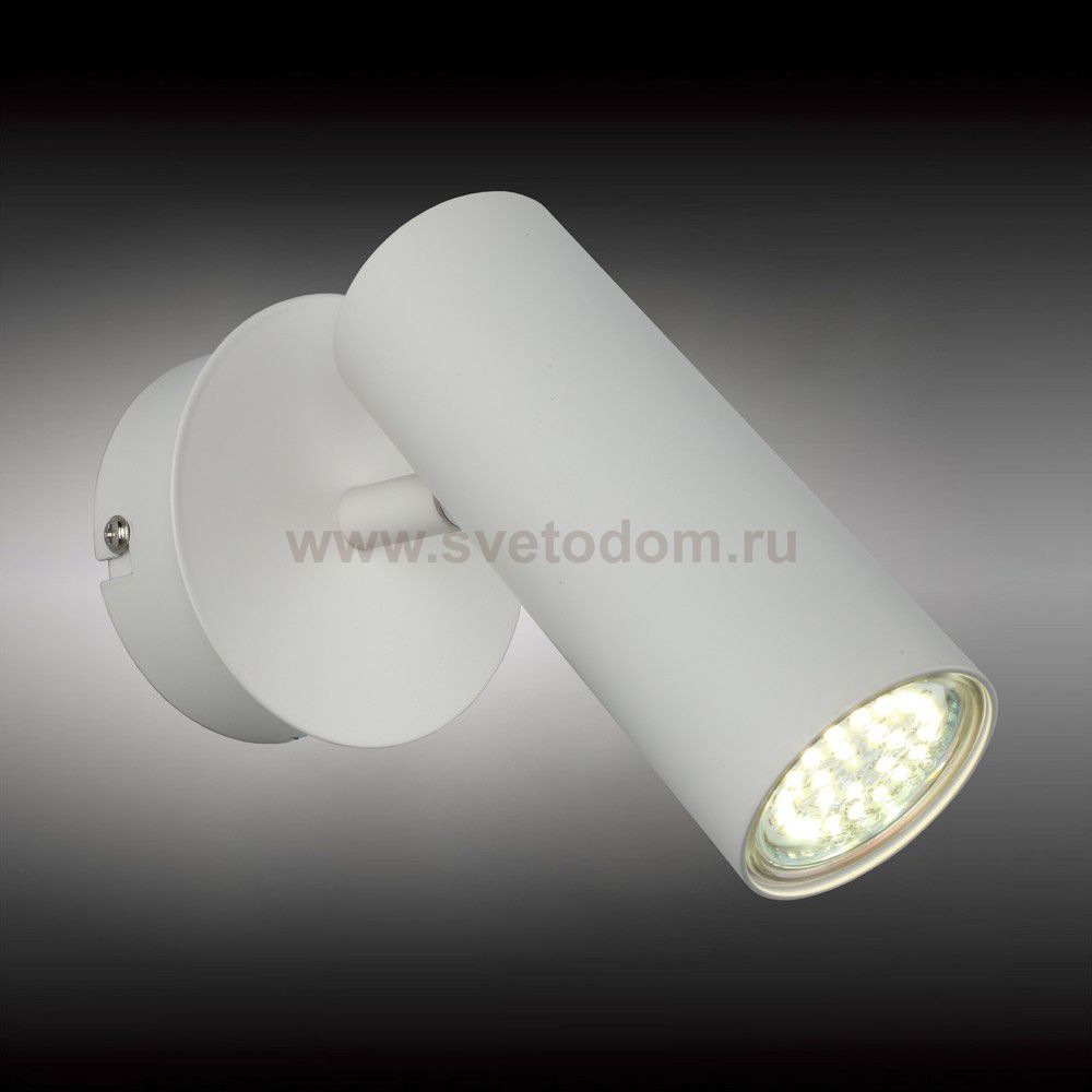 Светильник настенный бра Aployt APL.004.01.01 Rein