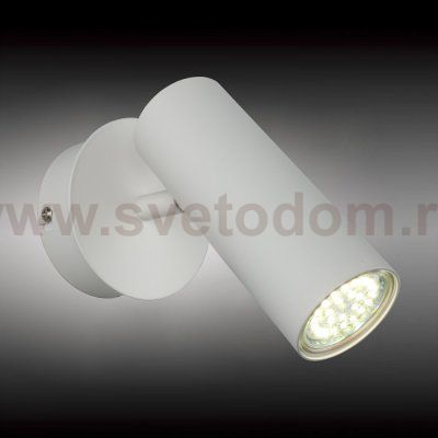 Светильник настенный бра Aployt APL.004.01.01 Rein