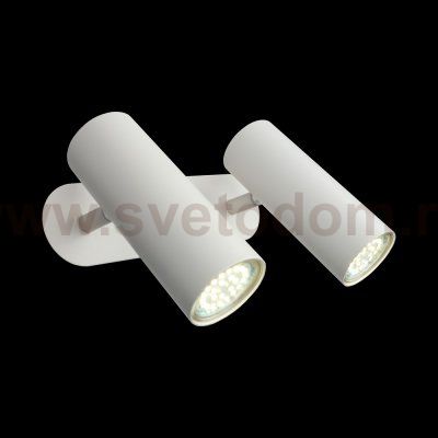 Светильник настенный бра Aployt APL.004.01.02 Rein