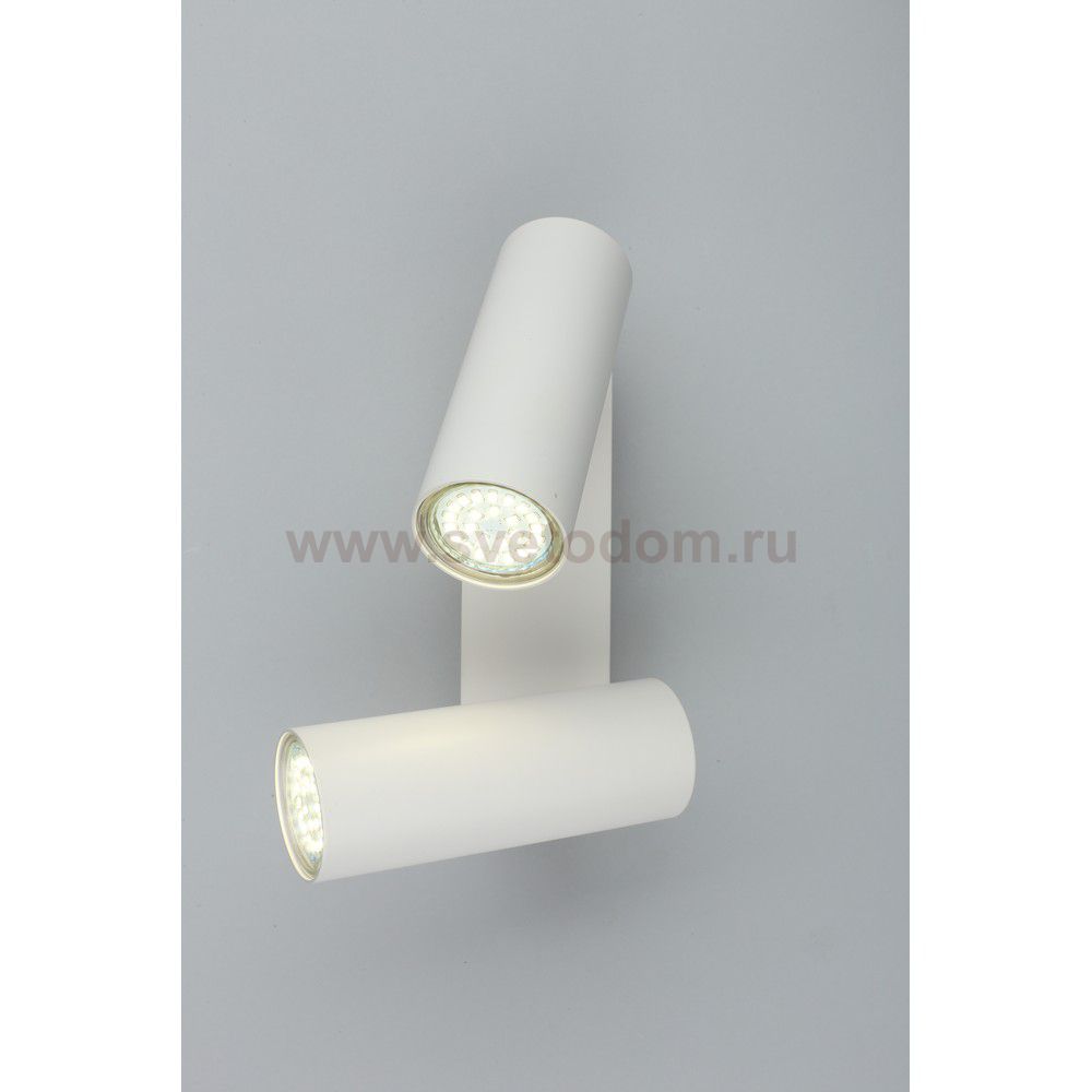 Светильник настенный бра Aployt APL.004.01.02 Rein