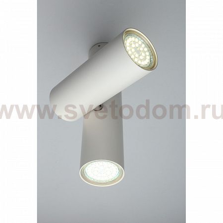 Светильник настенно-потолочный Aployt APL.006.02.02 Aksel