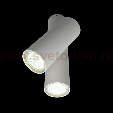 Светильник настенно-потолочный Aployt APL.006.02.02 Aksel