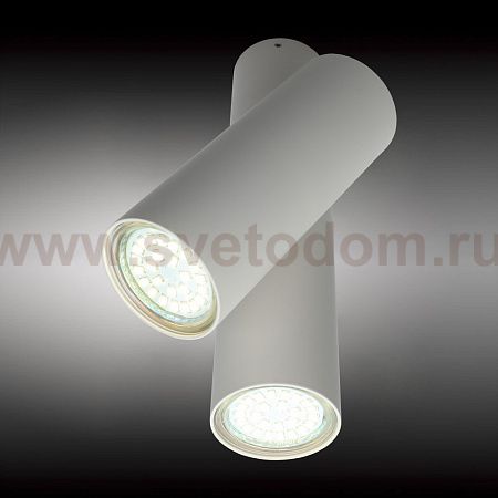 Светильник настенно-потолочный Aployt APL.006.02.02 Aksel