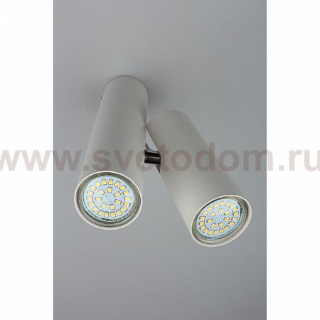 Светильник настенно-потолочный Aployt APL.006.02.02 Aksel