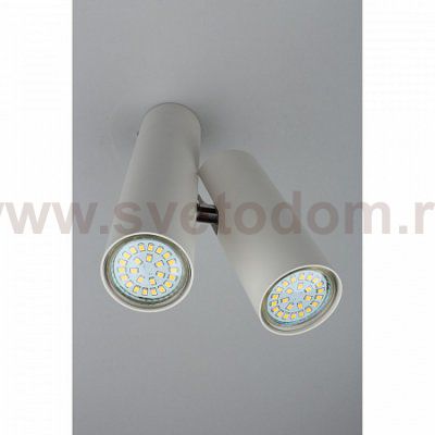 Светильник настенно-потолочный Aployt APL.006.02.02 Aksel