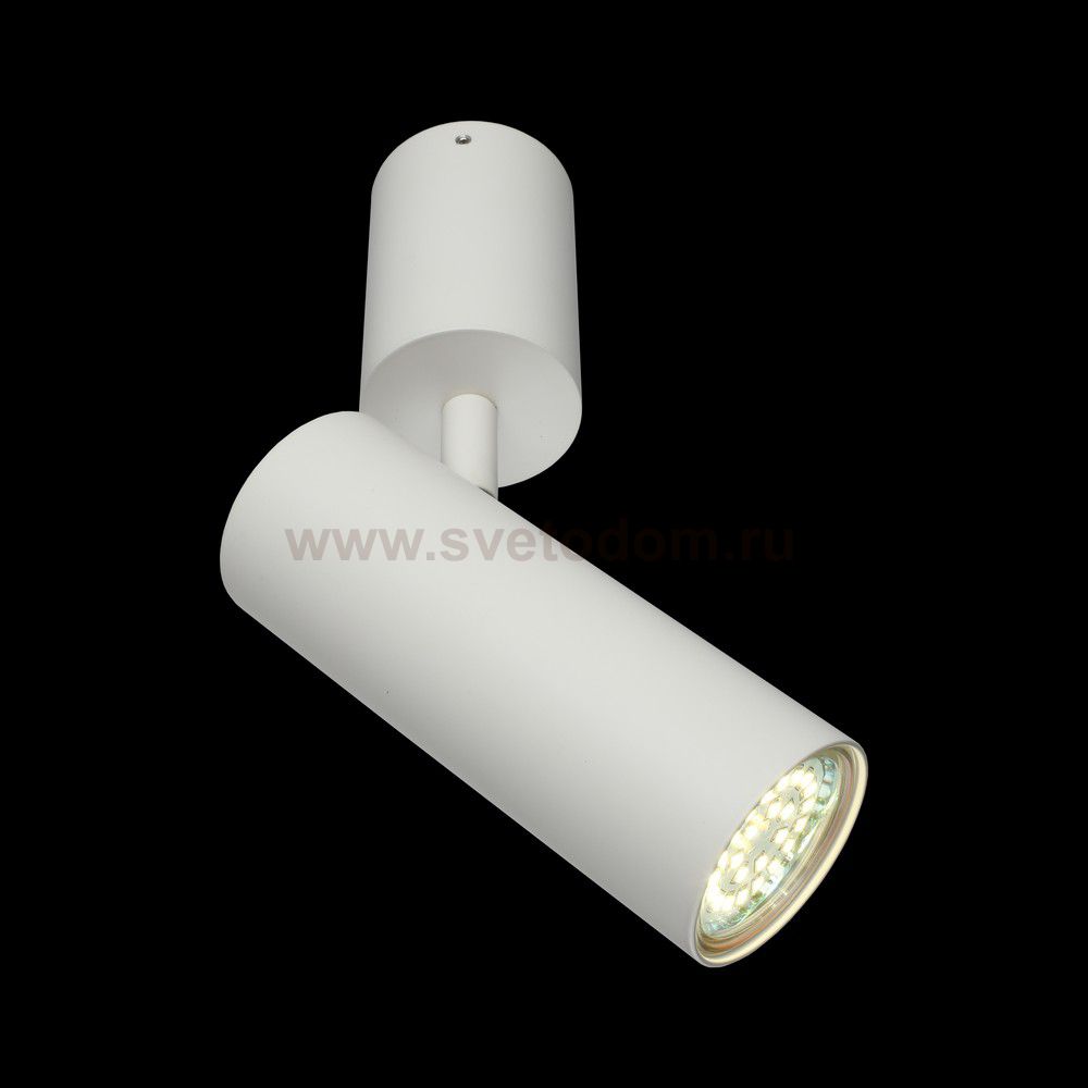 Светильник настенно-потолочный Aployt APL.007.02.01 Berenis