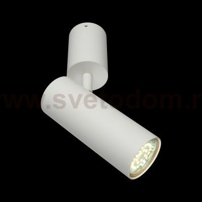 Светильник настенно-потолочный Aployt APL.007.02.01 Berenis