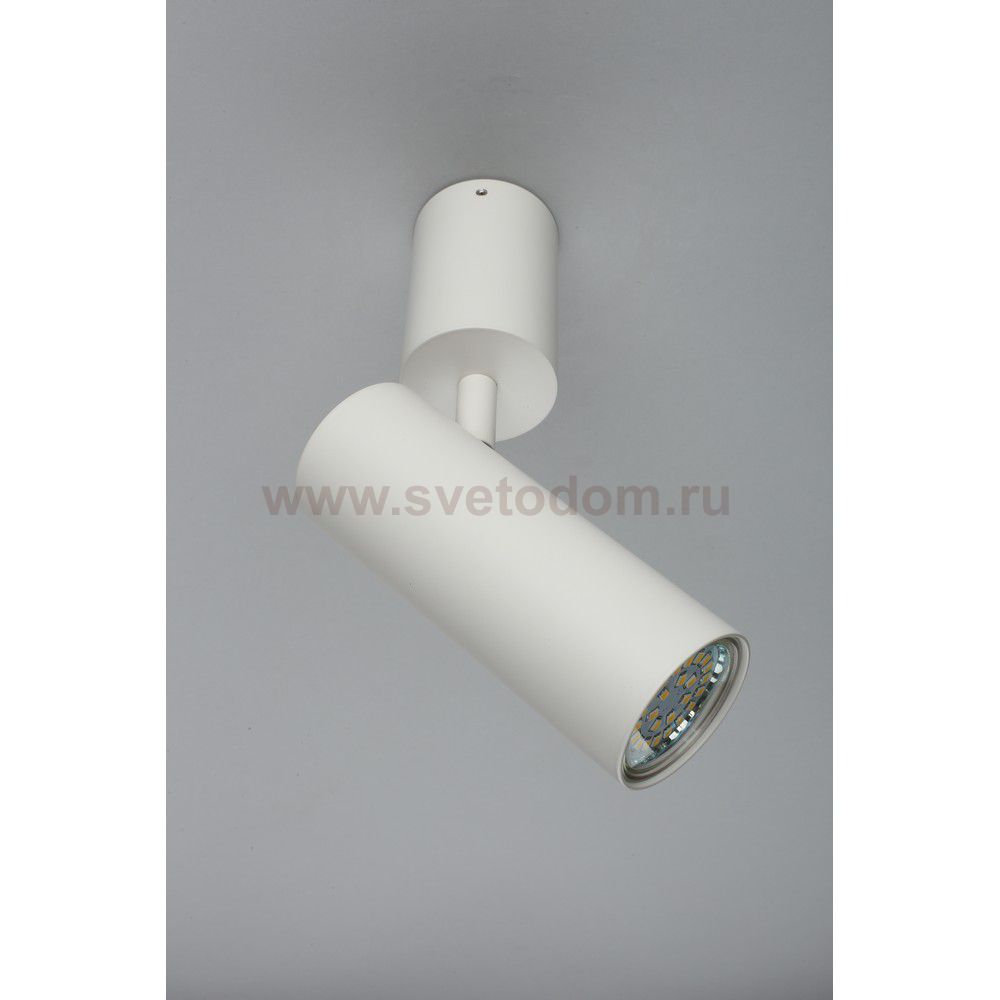 Светильник настенно-потолочный Aployt APL.007.02.01 Berenis