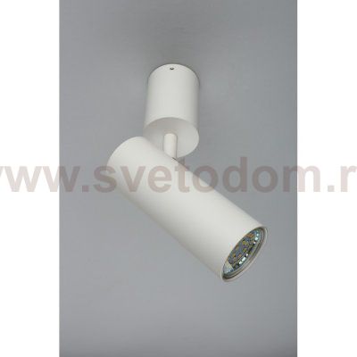 Светильник настенно-потолочный Aployt APL.007.02.01 Berenis