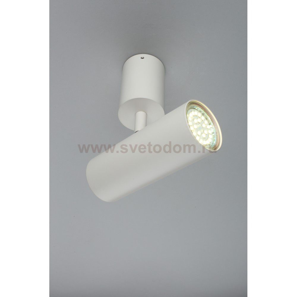 Светильник настенно-потолочный Aployt APL.007.02.01 Berenis