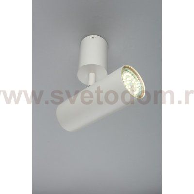 Светильник настенно-потолочный Aployt APL.007.02.01 Berenis