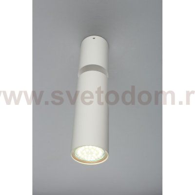 Светильник настенно-потолочный Aployt APL.007.02.01 Berenis