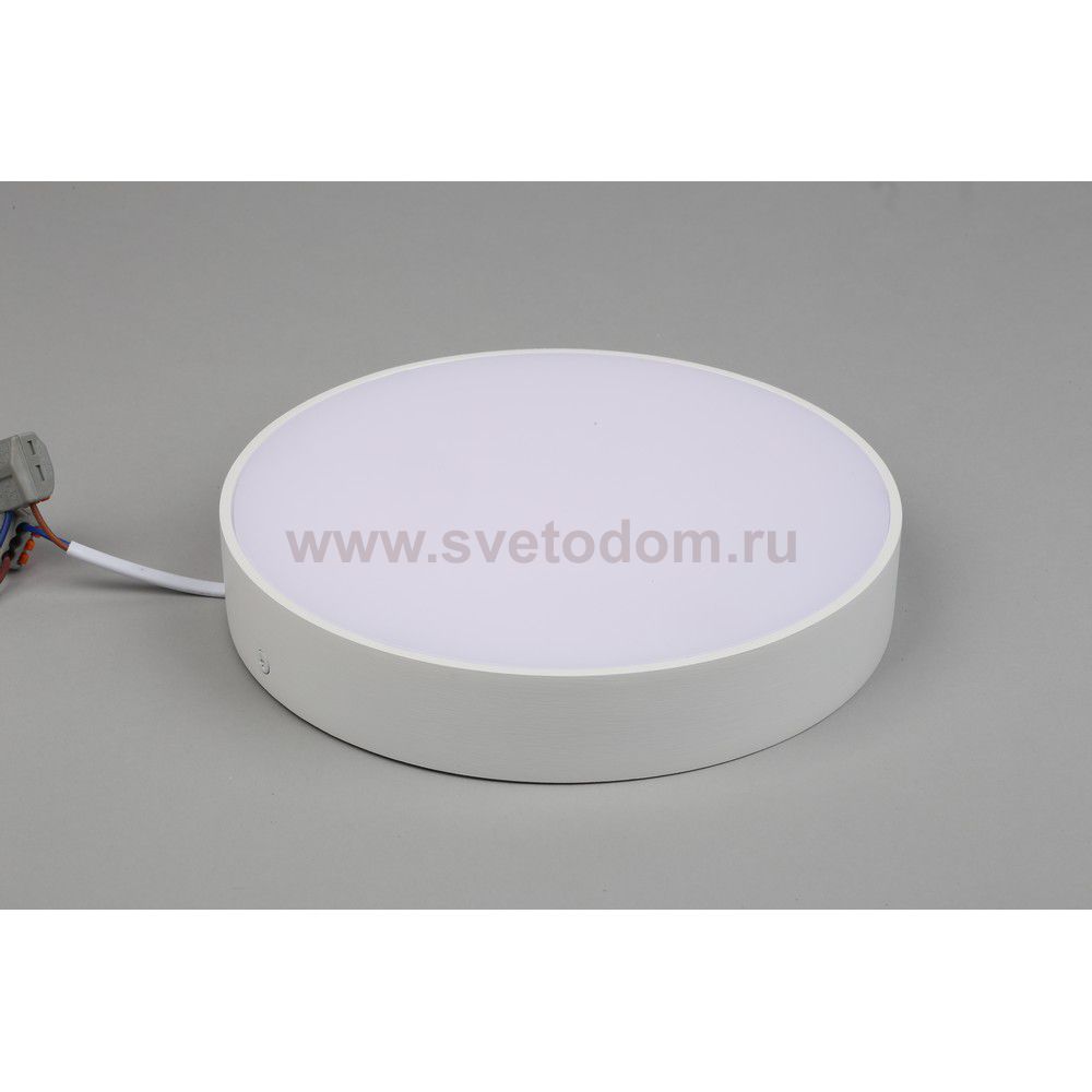 Светильник встраиваемый-накладной Aployt APL.0113.09.24 Evon