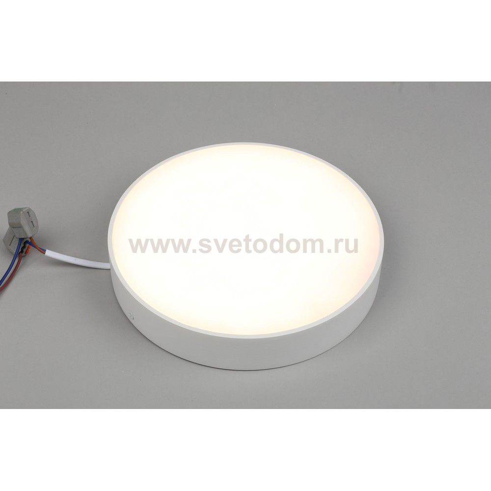 Светильник встраиваемый-накладной Aployt APL.0113.09.24 Evon