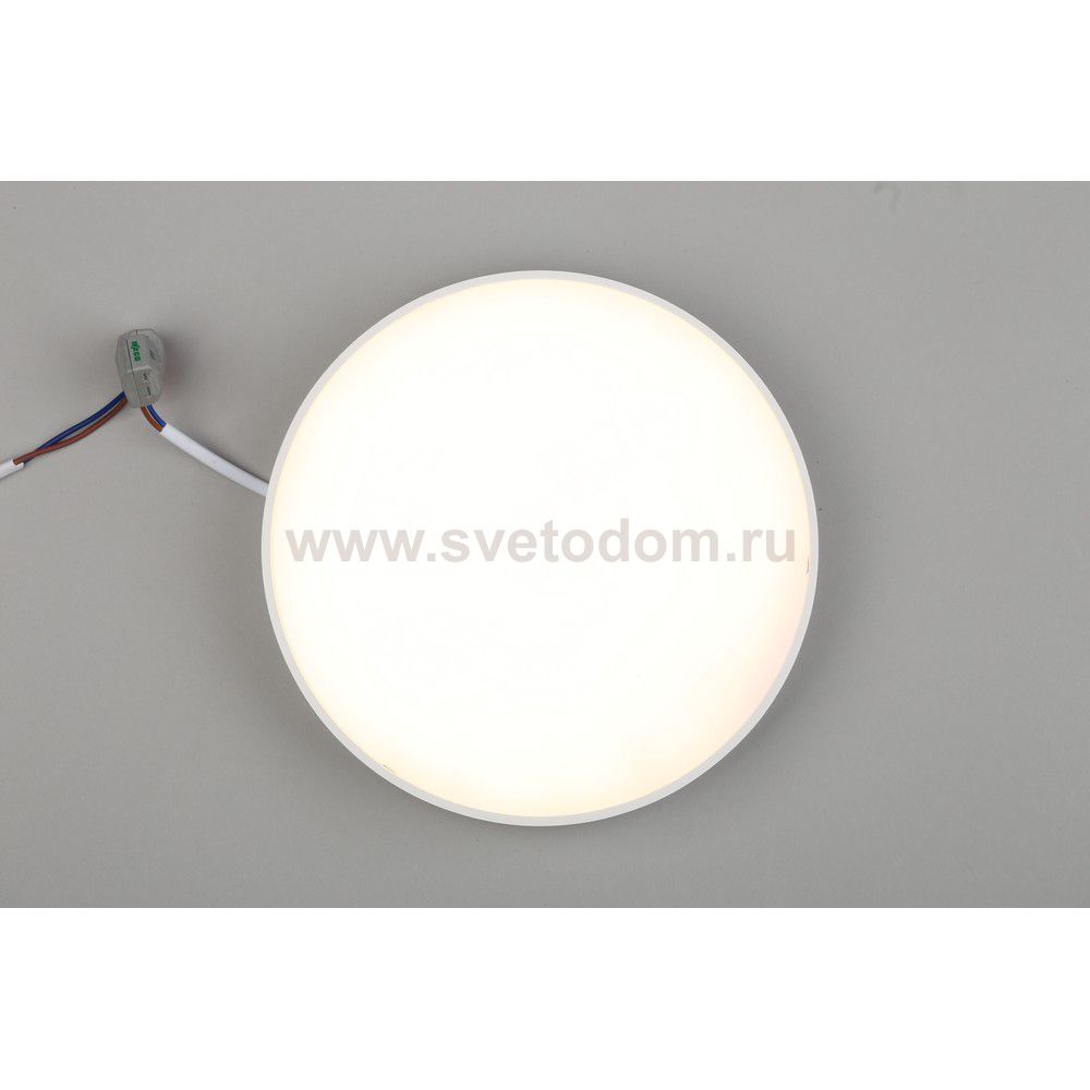 Светильник встраиваемый-накладной Aployt APL.0113.09.24 Evon