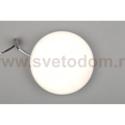 Светильник встраиваемый-накладной Aployt APL.0113.09.24 Evon