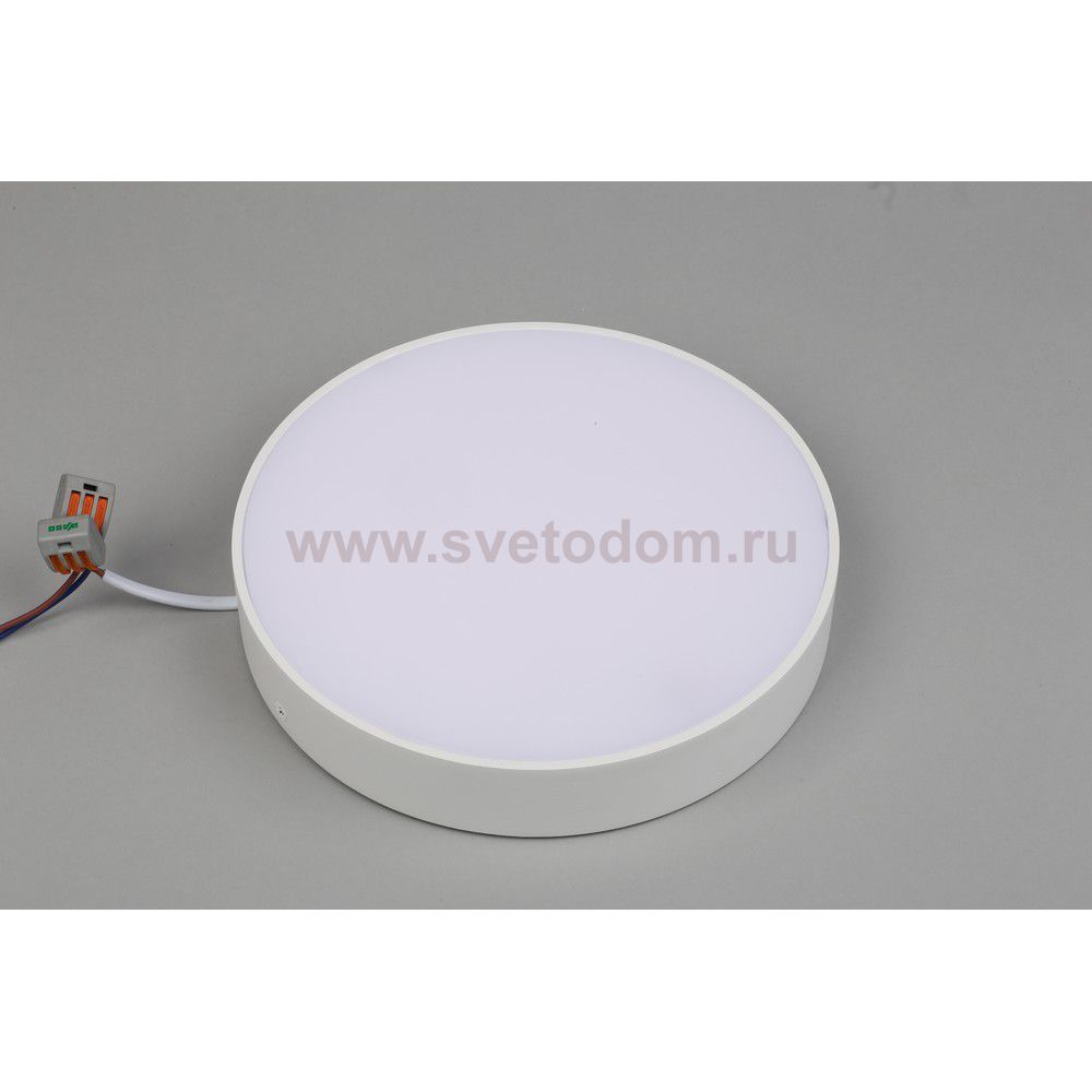 Светильник встраиваемый-накладной Aployt APL.0114.09.24 Evon