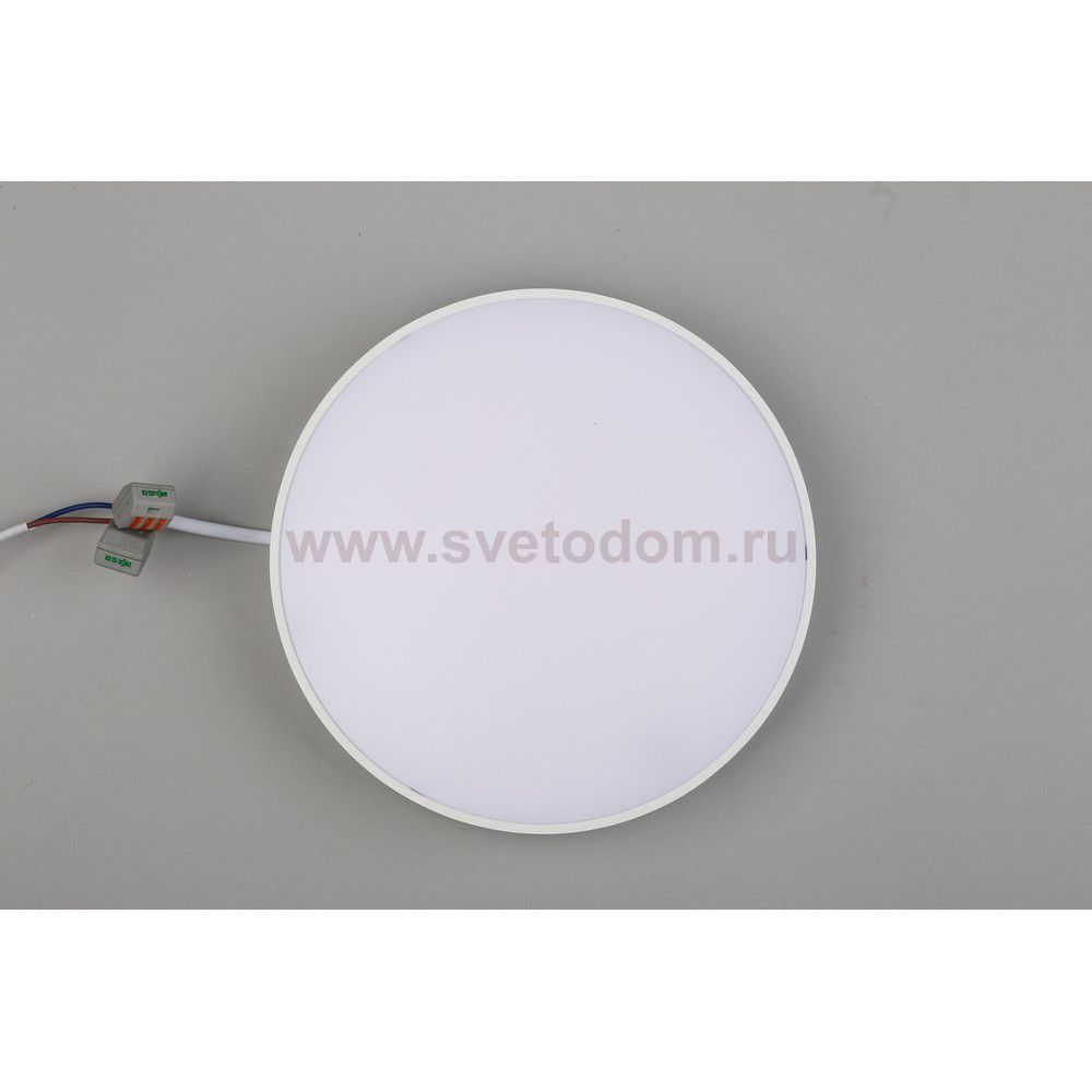 Светильник встраиваемый-накладной Aployt APL.0114.09.24 Evon