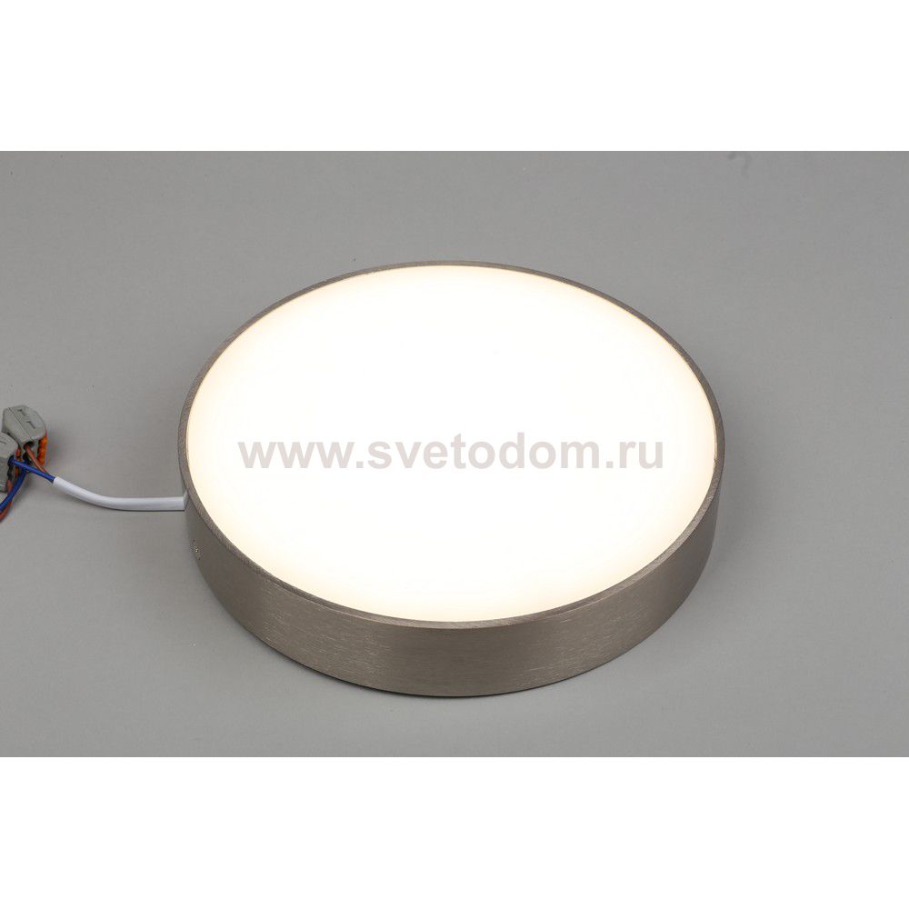 Светильник встраиваемый-накладной Aployt APL.0114.19.24 Evon