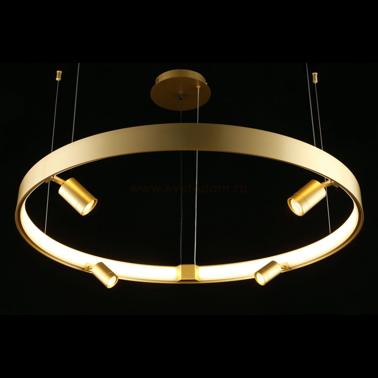 Люстра подвесная светодиодная Jolanta Aployt APL.041.03.50