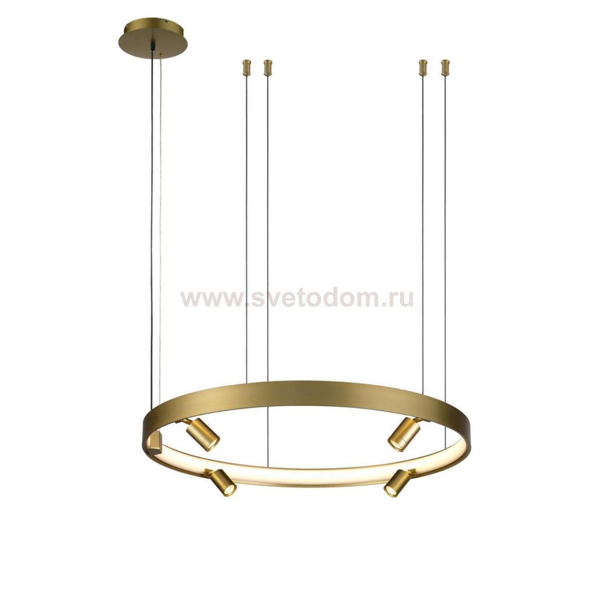 Люстра подвесная светодиодная Jolanta Aployt APL.041.03.50