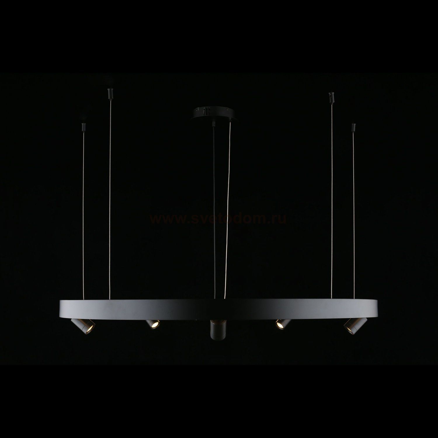 Люстра подвесная светодиодная Jolanta Aployt APL.041.13.75