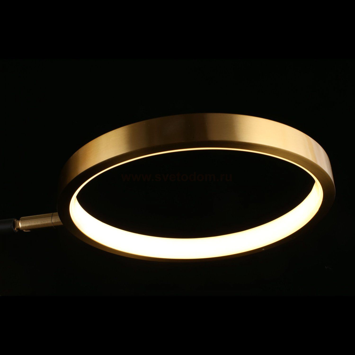 Люстра потолочная светодиодная Ines Aployt APL.043.07.50