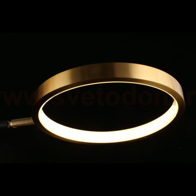 Люстра потолочная светодиодная Ines Aployt APL.043.07.50