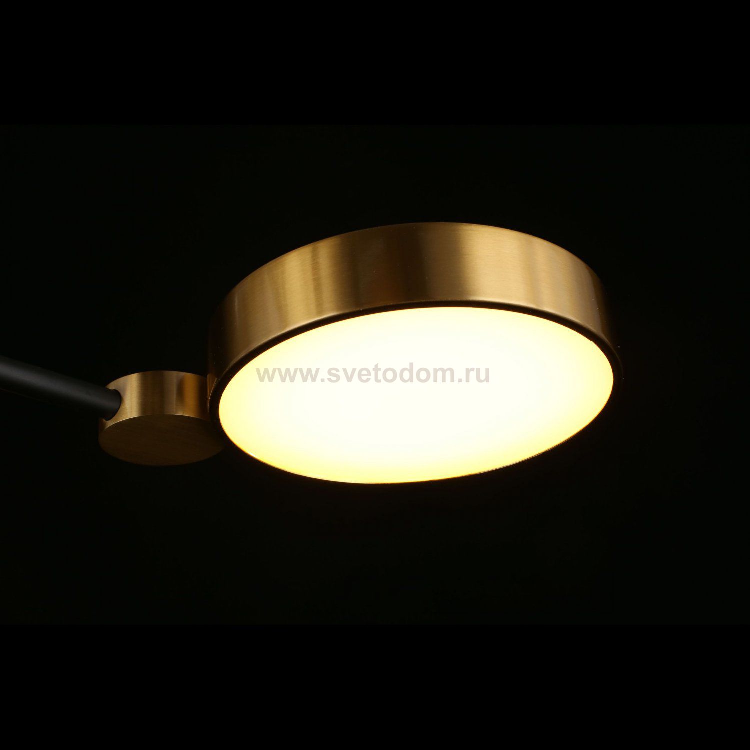 Люстра потолочная светодиодная Ines Aployt APL.043.07.50