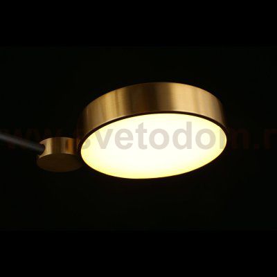 Люстра потолочная светодиодная Ines Aployt APL.043.07.50