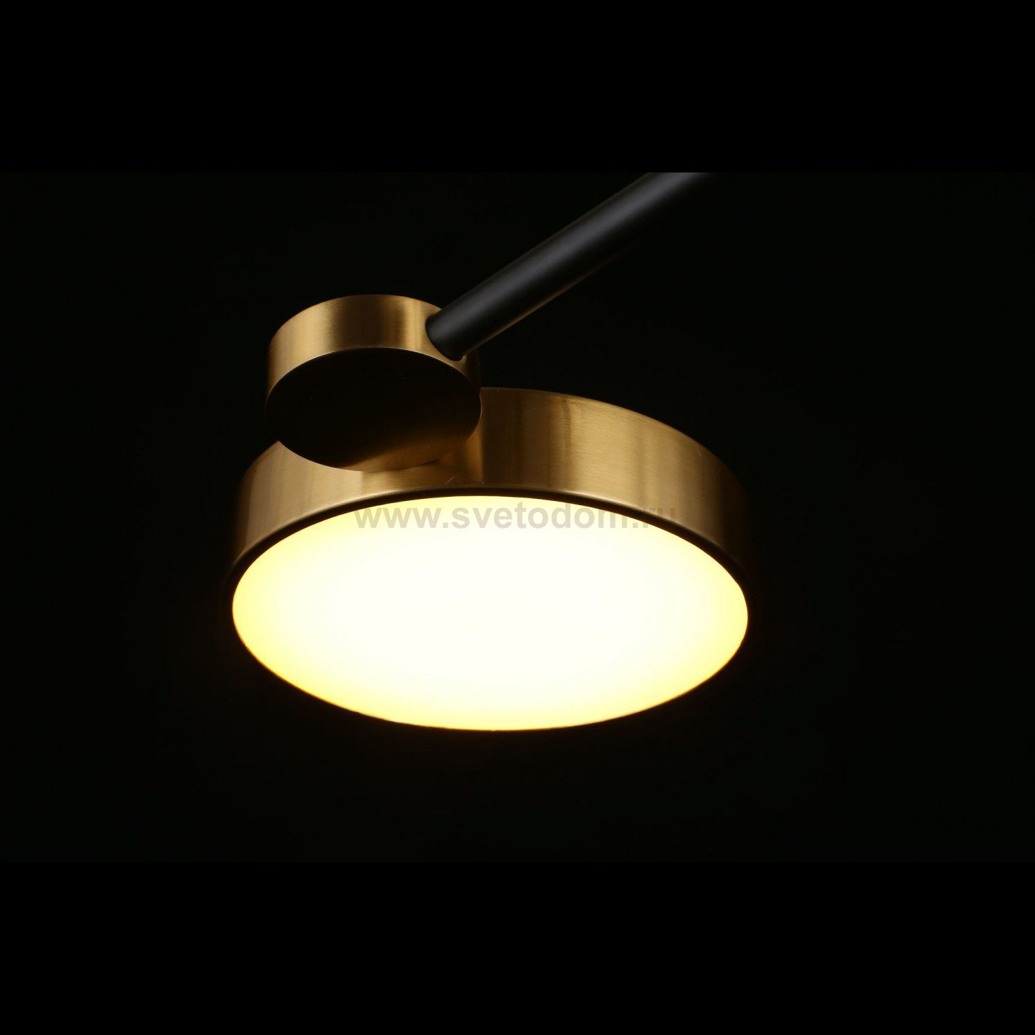 Люстра потолочная светодиодная Ines Aployt APL.043.07.65