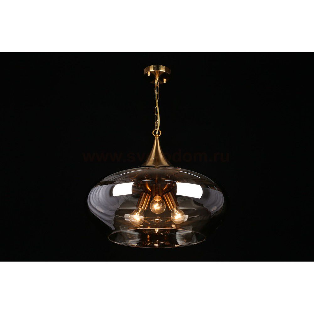 Светильник подвесной Aployt APL.601.16.03 Franko