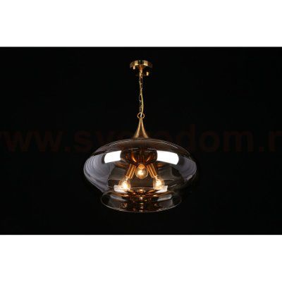 Светильник подвесной Aployt APL.601.16.03 Franko