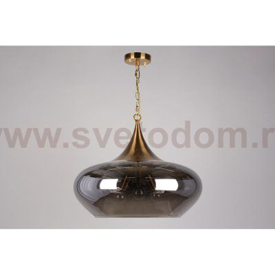 Светильник подвесной Aployt APL.601.16.03 Franko