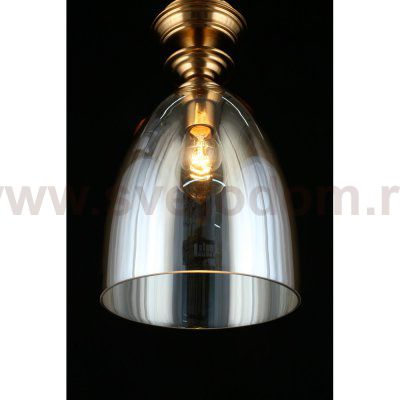 Светильник подвесной Aployt APL.602.06.01 Rena