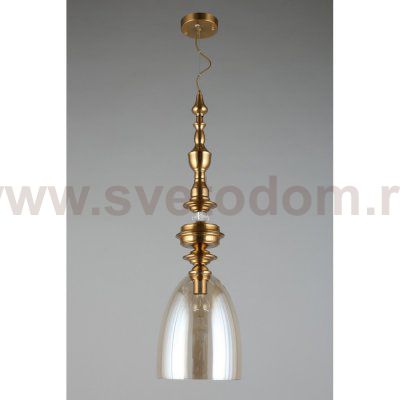 Светильник подвесной Aployt APL.602.06.01 Rena