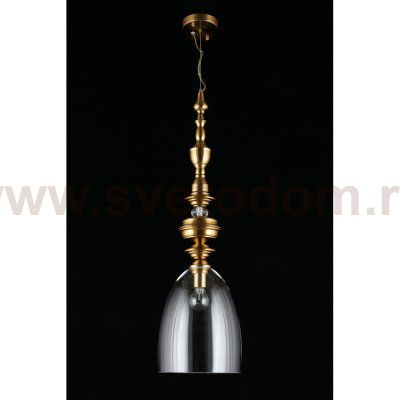 Светильник подвесной Aployt APL.602.16.01 Rena