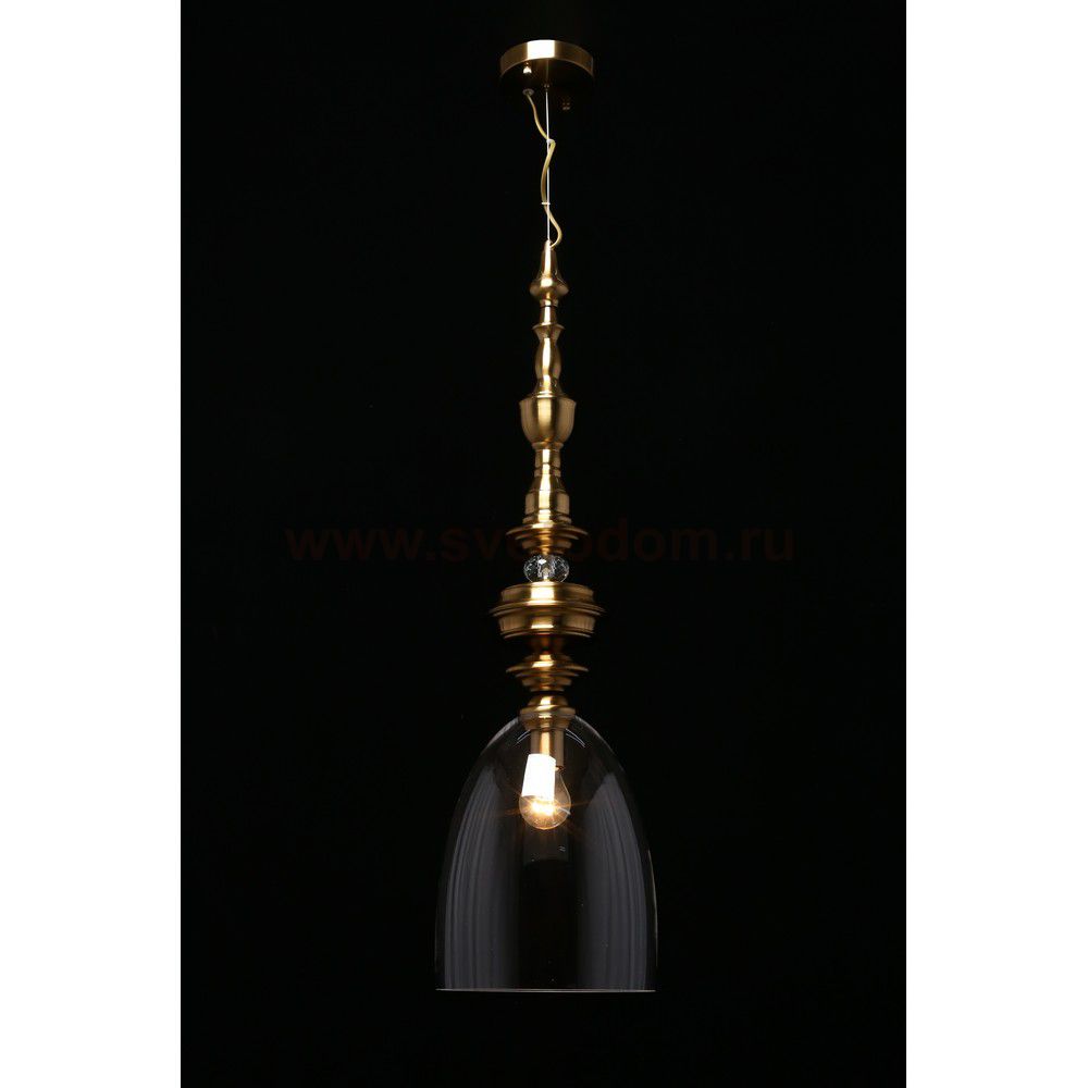 Светильник подвесной Aployt APL.602.16.01 Rena