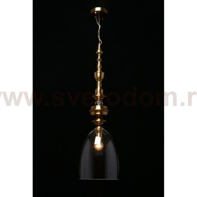 Светильник подвесной Aployt APL.602.16.01 Rena