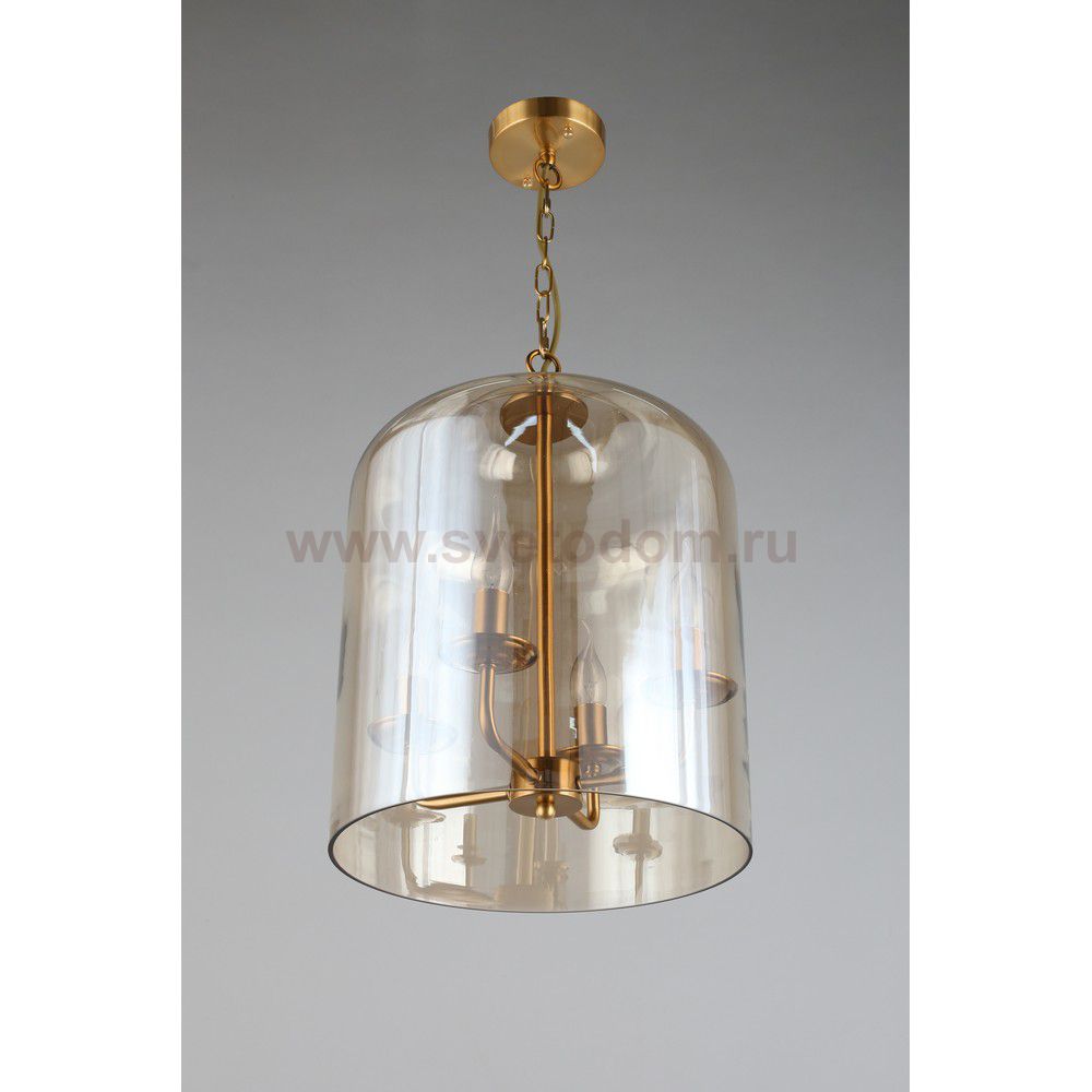 Светильник подвесной Aployt APL.603.06.06 Polin