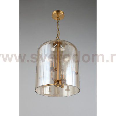 Светильник подвесной Aployt APL.603.06.06 Polin