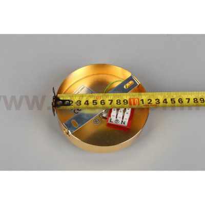 Люстра потолочная Aployt APL.606.17.10 Rozali